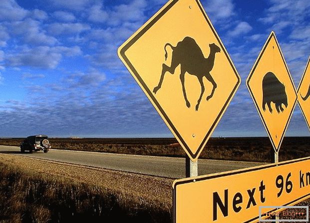 Australski cestovni znak upozorava da se na cestu mogu pojaviti razne životinje.