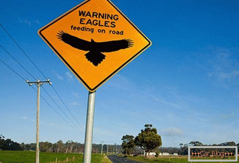 Upozorenje na mogućnost susreta orlovima na cesti