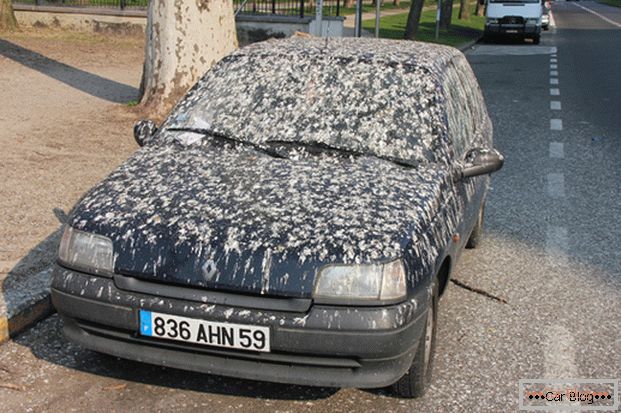 Izbjegavanje ptica na tijelu automobila - otpad